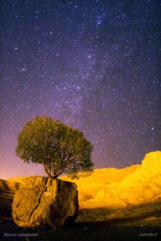 Arsanjan_Tree_MilkyWay (درخت سنگی)