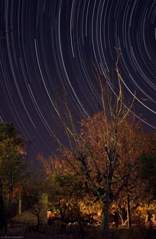 autumn_hashemizadeh (برگریزان)