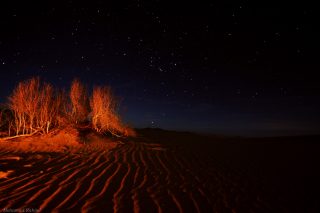 Desert_Khara_Rahimi (کویر خارا)