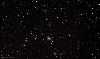 M81_M82_Alibeygi (دو کهکشان دیدنی)