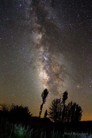 MilkyWay_Mohagheh (راه شیری بر بالای درختان)