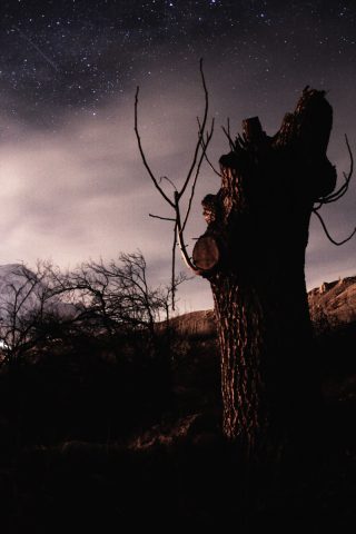 Tree_satellite_Parhizgari (درخت بی شاخ و برگ)