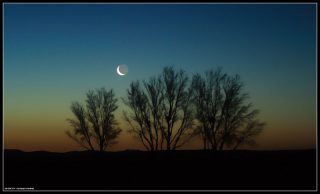 Moon_Tree_A.Karimi_small (هلال ماه و سه ناظر)